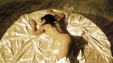 Jesse ve bal aşk tavşan, freesex turk